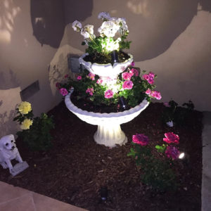 bird bath lighting installers